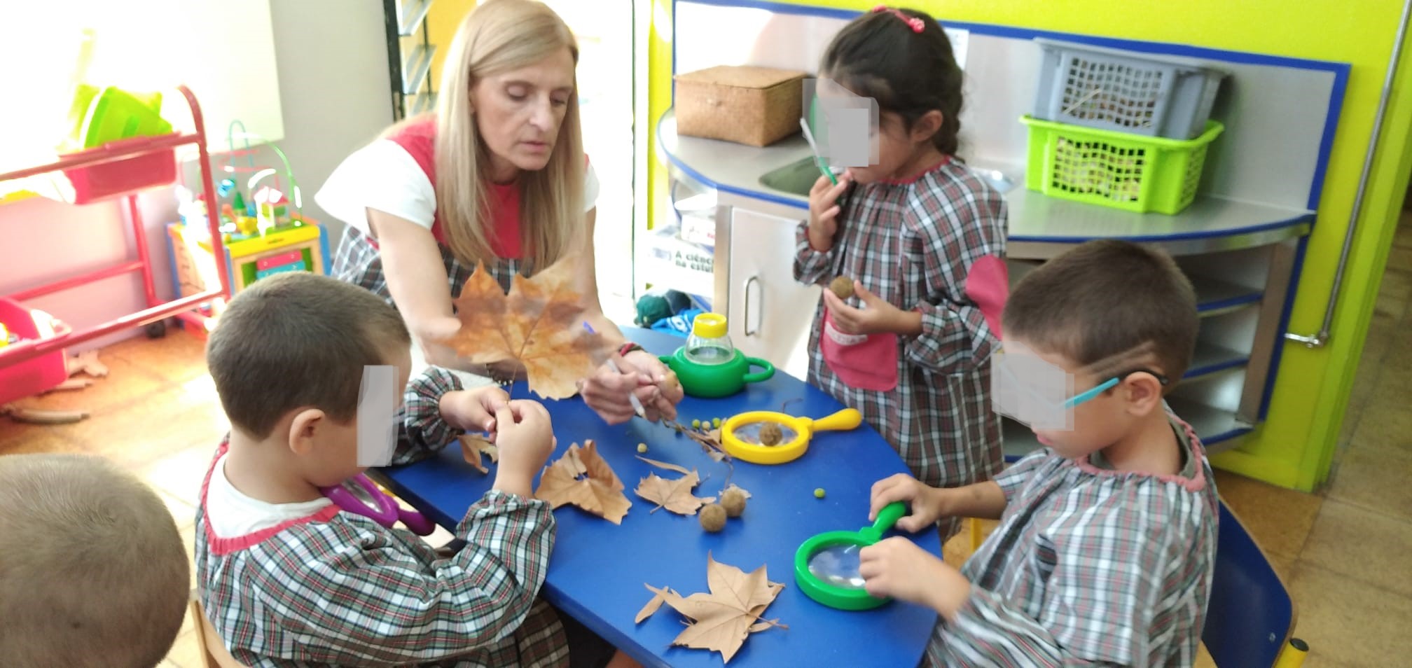 As castanhas, o São martinho e a Amizade